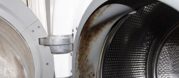 How To Remove Mold From Washing Machine Door Seal?