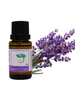 Pure Lavender Essential Oil from Aromatics Canada: A Natural Choice