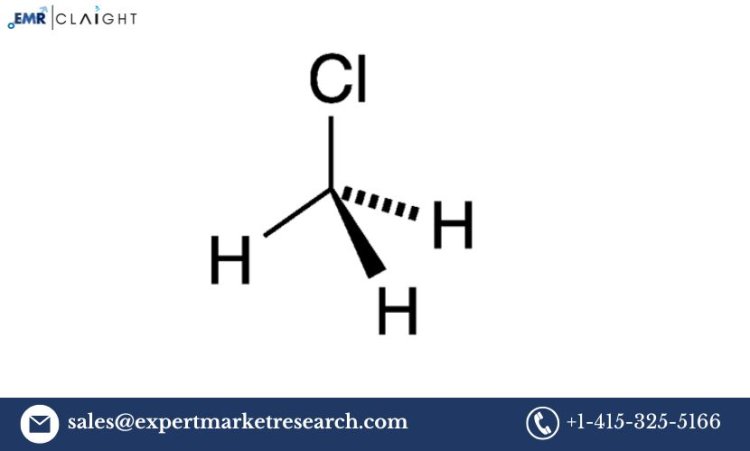 Chloromethane Market Outlook 2025