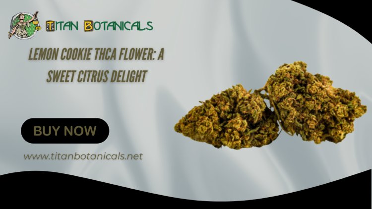 Lemon Cookie THCa Flower: A Sweet Citrus Delight