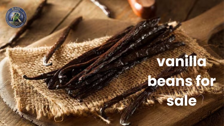 Vanilla Beans for Sale: The Ultimate Guide to Buying Premium Organic Vanilla