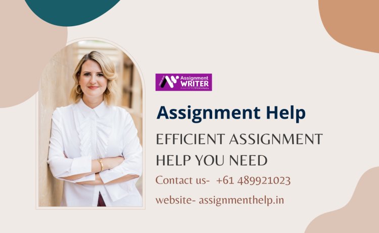 Efficient Assignment Help You Need