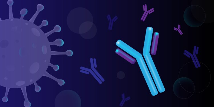 Why Neutralizing Antibody Assays Are Crucial for Evaluating Viral Infections