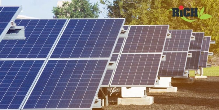 Top Solar Companies in Chennai: How to Choose the Best One for Your Needs