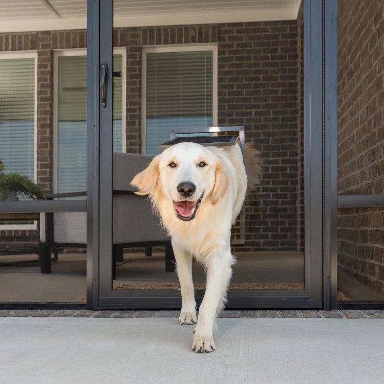 Why Every Pet Owner Needs French Patio Doors with a Pet Door