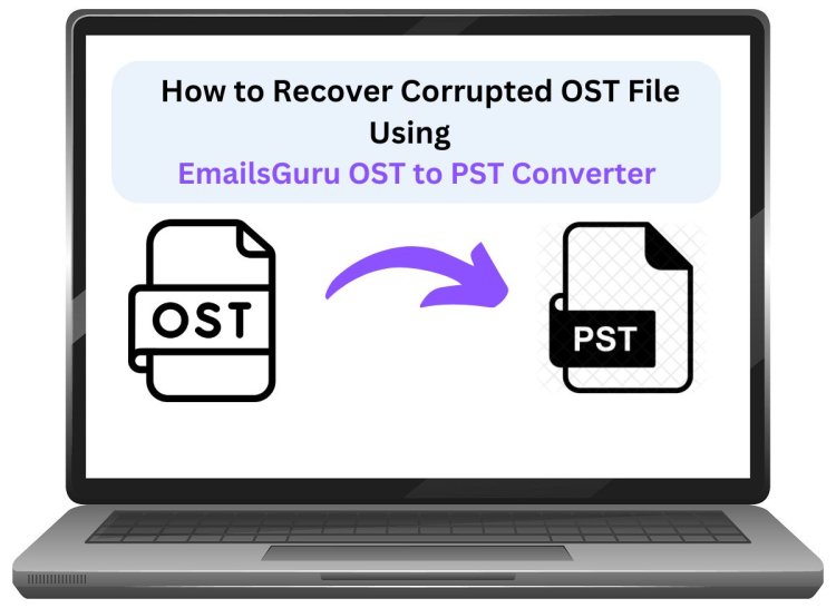 How to Recover Corrupted OST File Using EmailsGuru Software?