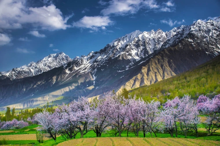 Skardu Travel and Tour: Exploring the Jewel of Pakistan