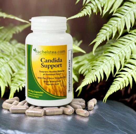 Unlocking the Power of Candida Support: How Candida Pills Can Restore Balance