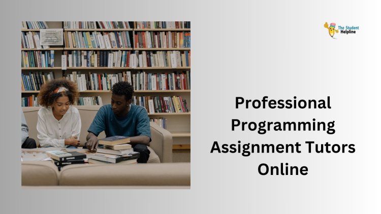 Professional Programming Assignment Tutors Online