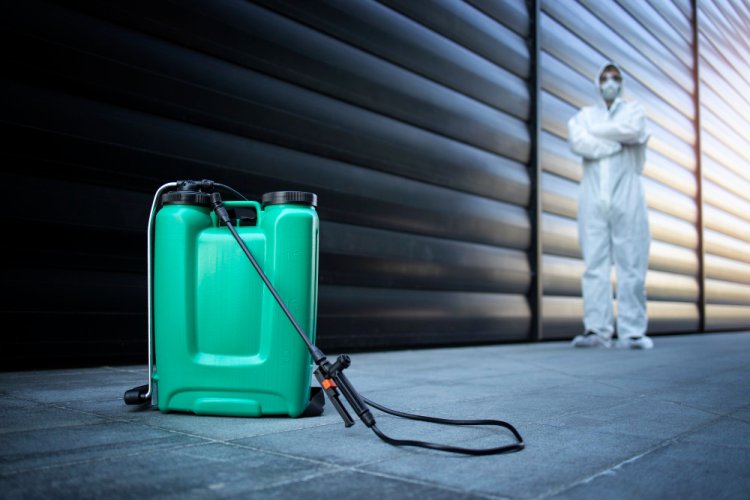 The Best Ways to Cut Down on Your Exterminator Cost