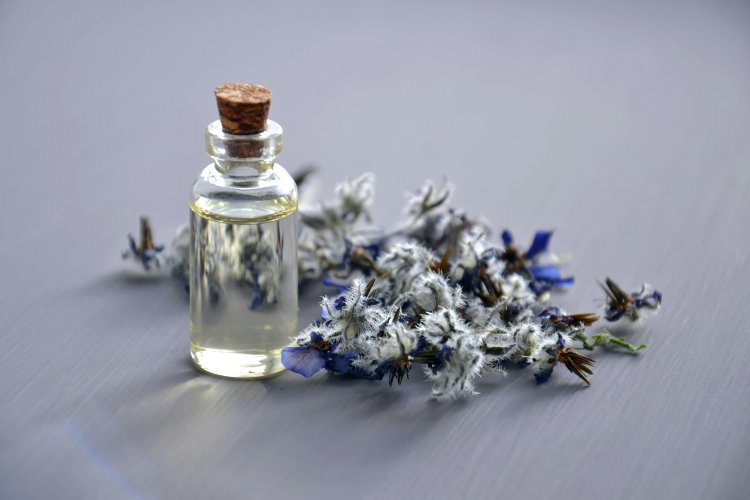 Top fragrances for women that still exists and are doing wonders