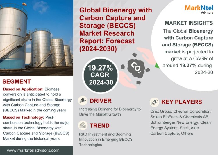 Functional Flour Market Breakdown By Size, Share, Growth, Trends, and Industry Analysis