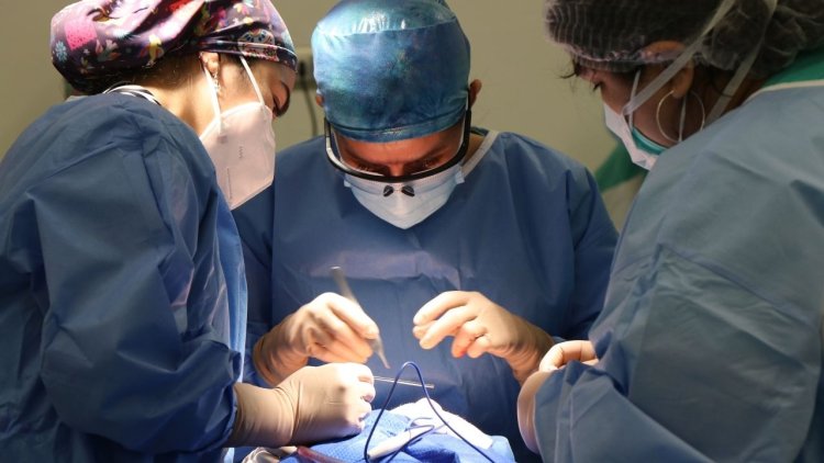 Understanding Recovery Time After Spine Surgery